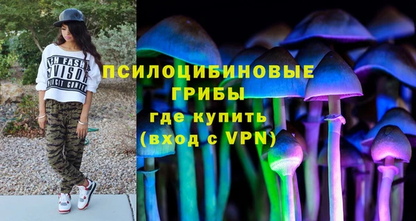 спиды Алексеевка