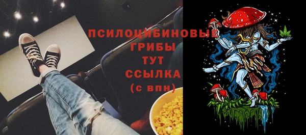 герыч Алзамай