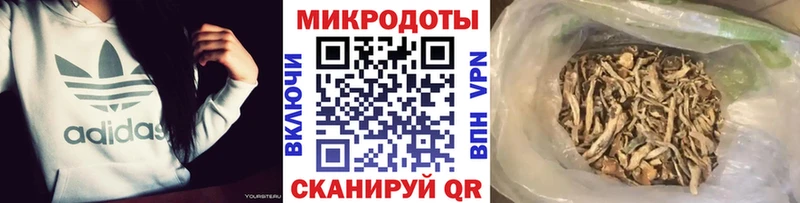 где можно купить   Лагань  Псилоцибиновые грибы GOLDEN TEACHER 